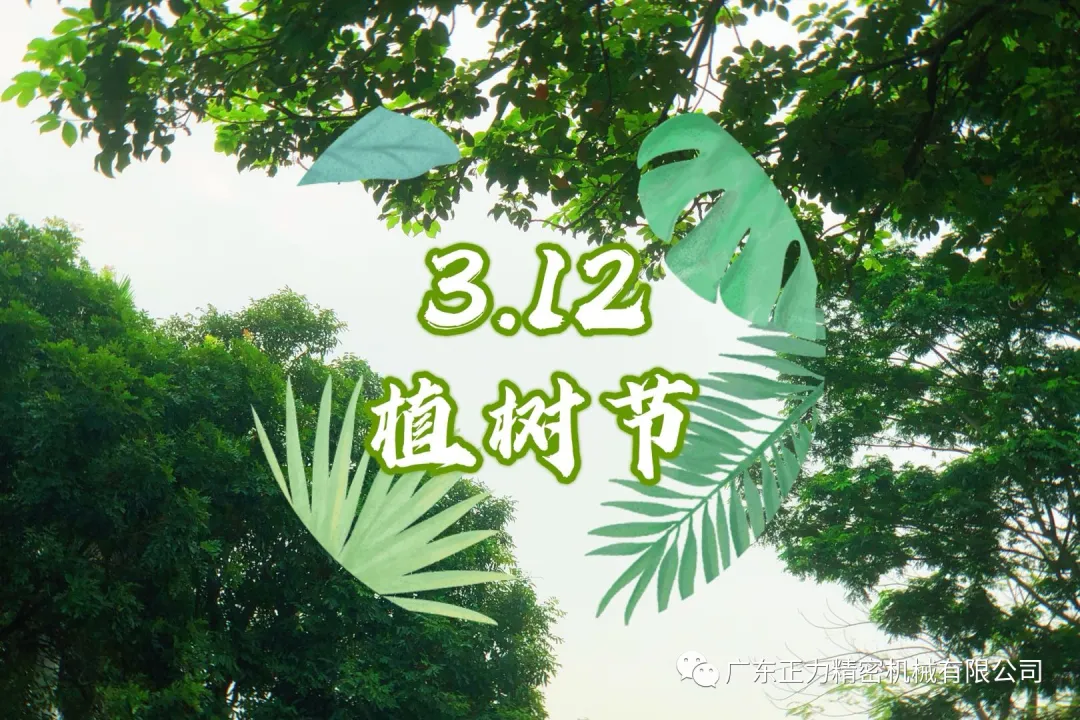 “3.12植樹節(jié)”——全民義務(wù)植樹40周年